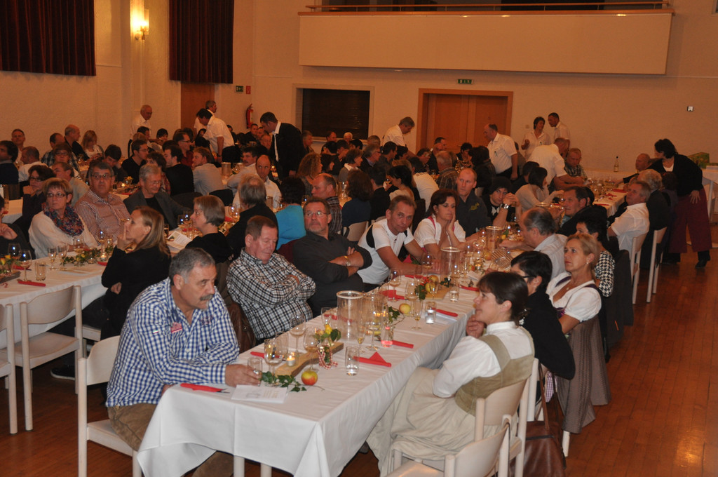DSC_0037_JPG-1321180441