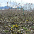 sm_gemeinde_hochwasser13.JPG