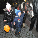 DSCN7316_jpg-1321181929