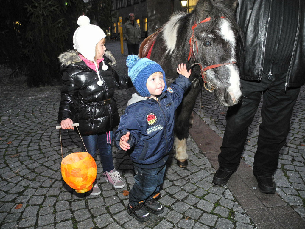 DSCN7316_jpg-1321181929