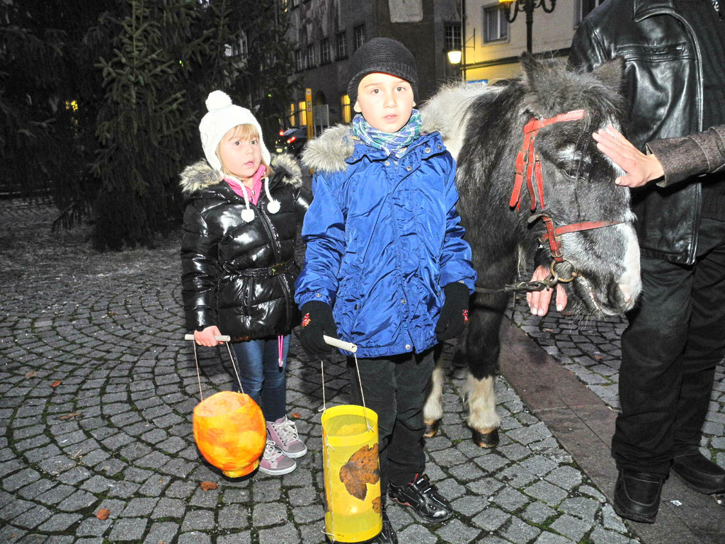 DSCN7318_jpg-1321181945