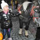 DSCN7314_jpg-1321181897