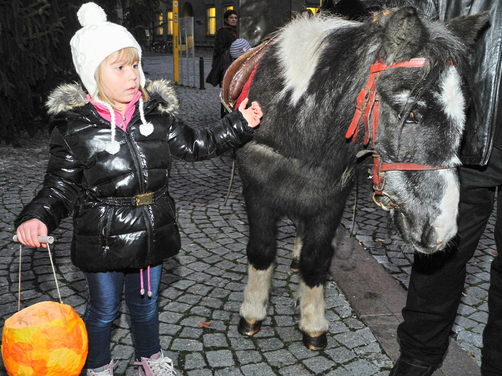 DSCN7314_jpg-1321181897