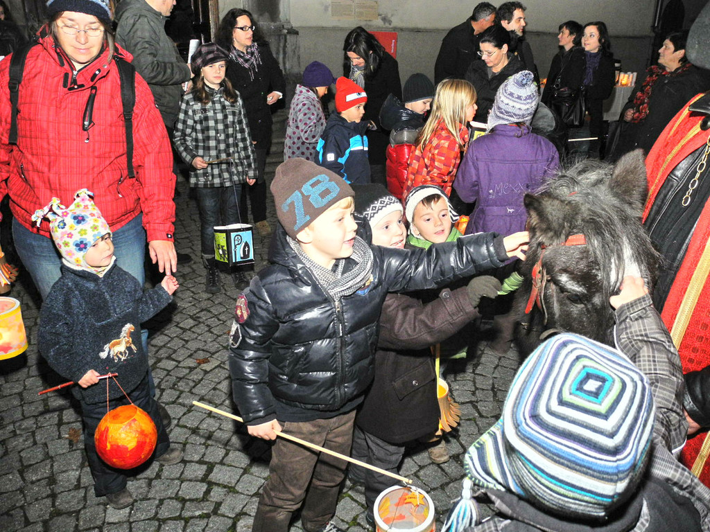 DSCN7341_jpg-1321182147