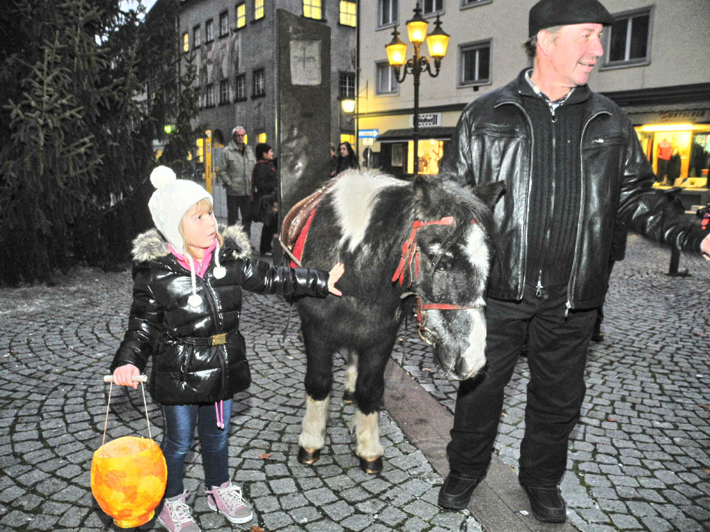 DSCN7315_jpg-1321181913