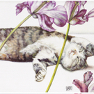 IMG_0001_jpg-1321184087