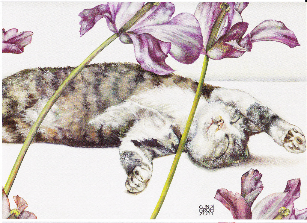 IMG_0001_jpg-1321184087