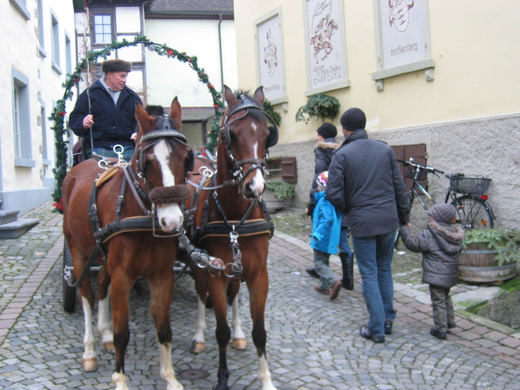 IMG_0239.JPG