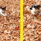 Vikt-Bludenz 13_11_2011 123_jpg-1321199705