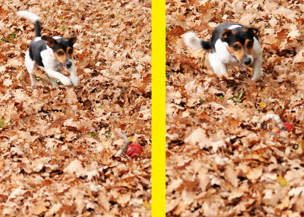 Vikt-Bludenz 13_11_2011 123_jpg-1321199705