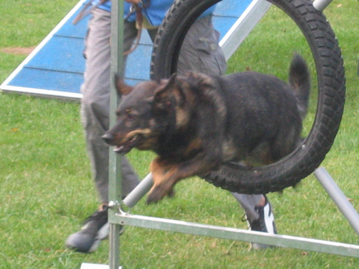 IMG_3692.JPG
