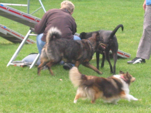 IMG_3695.JPG
