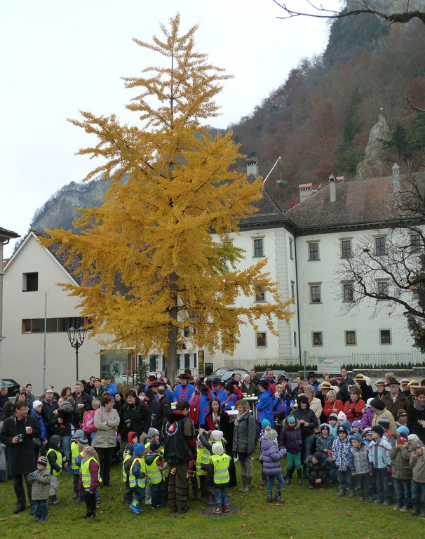 Embs33Platz_jpg-1321223660