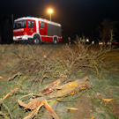 dst-48142.jpg