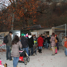 normal_12112011fmt_laternenfestzoo_fm_02.jpg