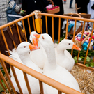 DSC_2969.jpg