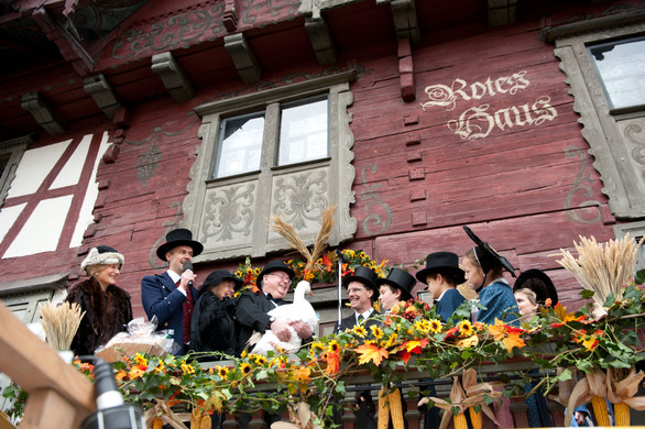 DSC_3115.jpg