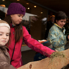 Adventmarkt_Egg_00009 _Large__JPG-1321259849