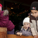 Adventmarkt_Egg_00127 _Large__JPG-1321260143