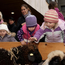 Adventmarkt_Egg_00129 _Large__JPG-1321260149