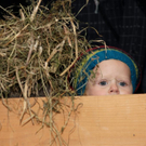 Adventmarkt_Egg_00130 _Large__JPG-1321260151