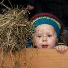 Adventmarkt_Egg_00131 _Large__JPG-1321260153