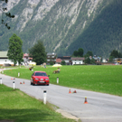 IMG_7954.jpg