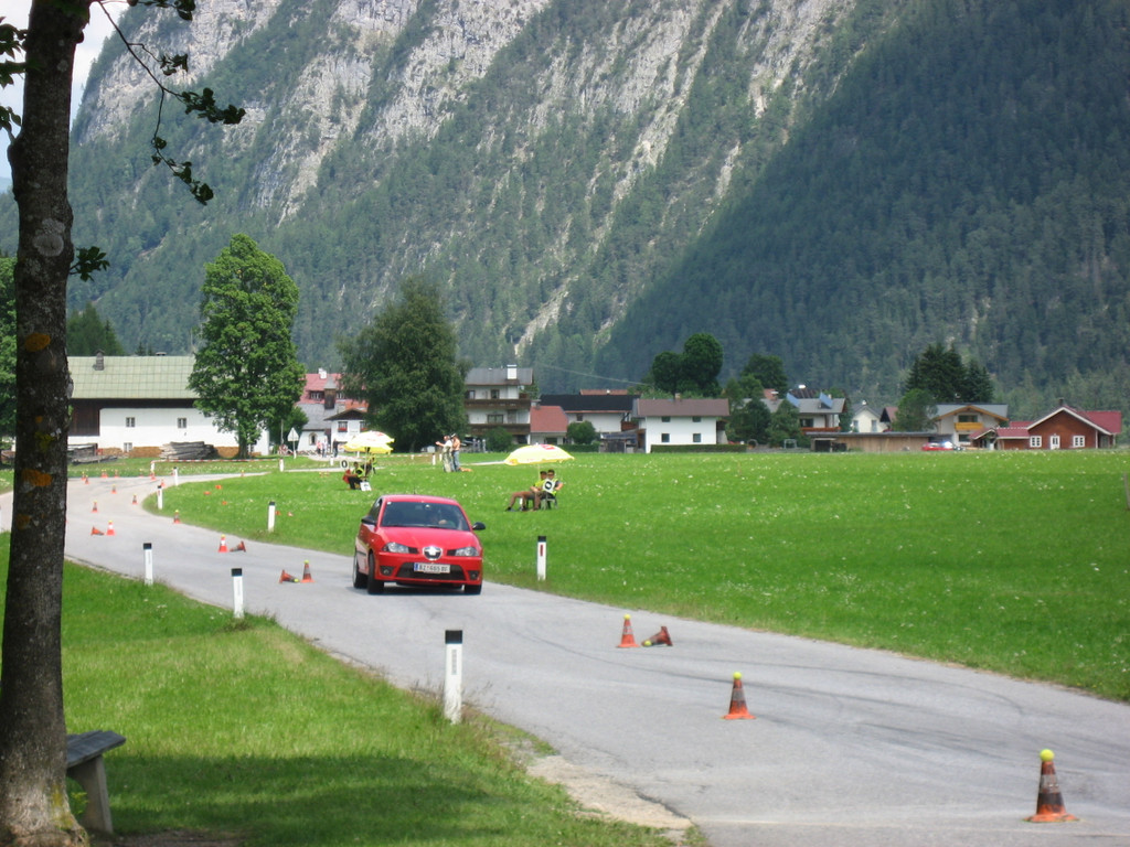 IMG_7954.jpg