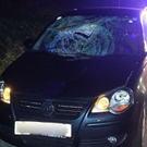Bilder der Unfallstelle in Bergheim