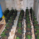 PI Lilienfeld_ 15_11_2011 - Foto 2.JPG