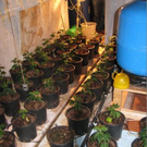 PI Lilienfeld_ 15_11_2011 - Foto 3.JPG