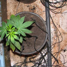 PI Lilienfeldl_ 15_11_2011 - Foto 4.JPG