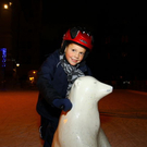 Bilder vom Mozarteis