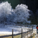 Raureif in der Früh