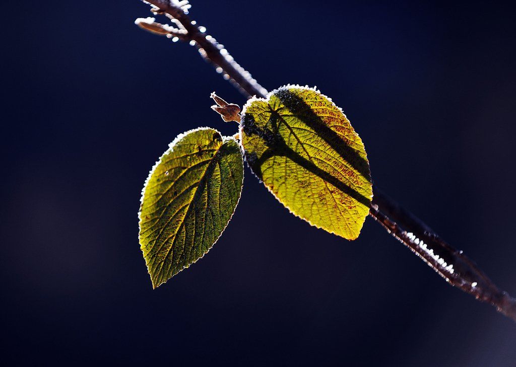 ABD0016-20111115.jpg