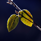ABD0016-20111115.jpg