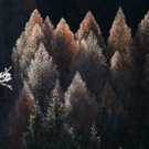ABD0014-20111115.jpg