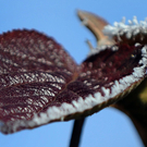 ABD0013-20111115.jpg