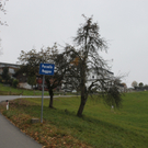 Pfaenderstrasse Sanierung Haggen _17__jpg-1321358075