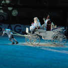14112011kfsbgnpaktivnews_26.JPG