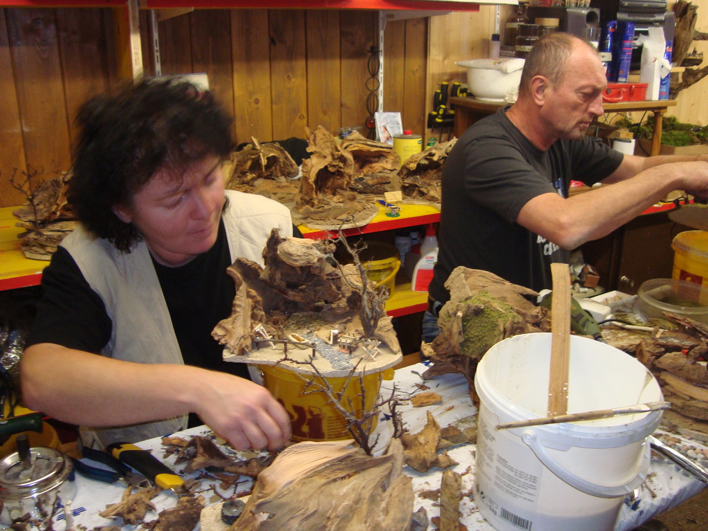 DSC05119_jpg-1321362866