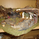 DSC05128_jpg-1321363283