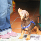 15112011hausbrandspaktivnews_009.JPG