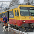 _DSC03190006.JPG