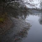 normal_16112011trockennymphenburghmaktivnews_20_19_.jpg