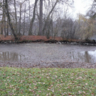 normal_16112011trockennymphenburghmaktivnews_20_21_.jpg
