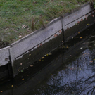 normal_16112011trockennymphenburghmaktivnews_20_4_.jpg