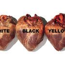 benetton white black yellow.jpg