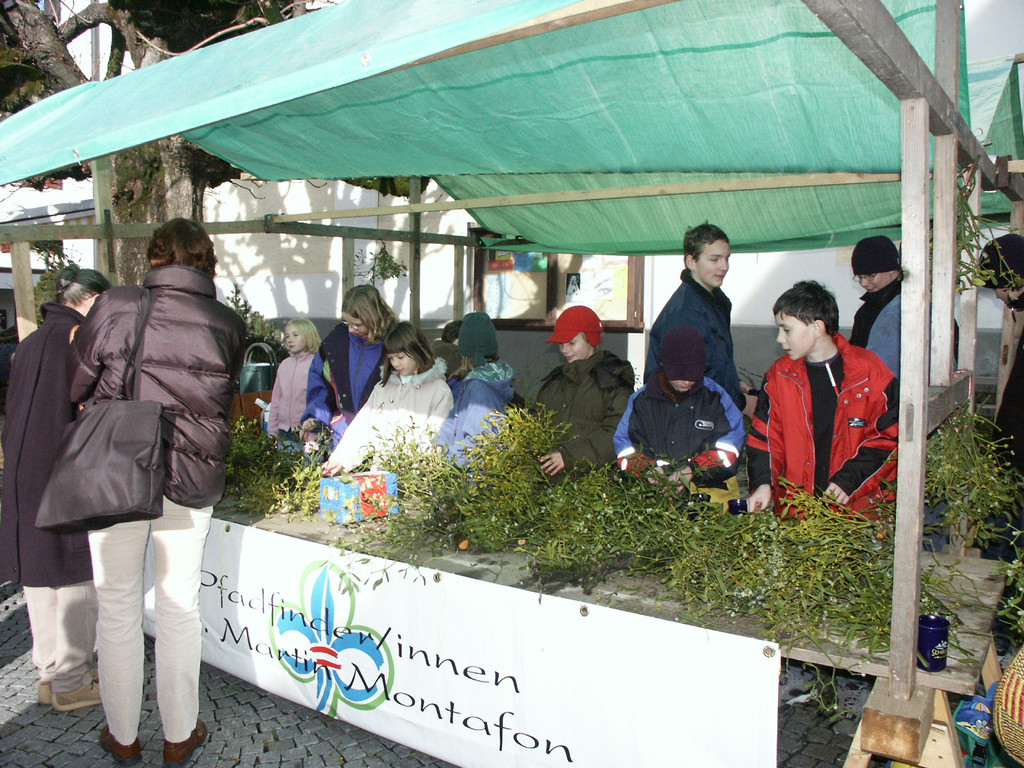 Mistelaktion 10_JPG-1321546855