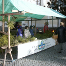 Mistelaktion 03_JPG-1321546885